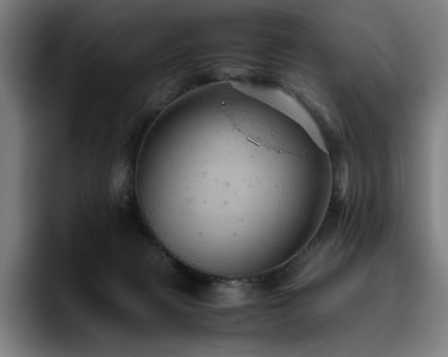 X0000093430079200710121210