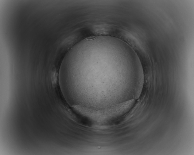 X0000093430081200710121210