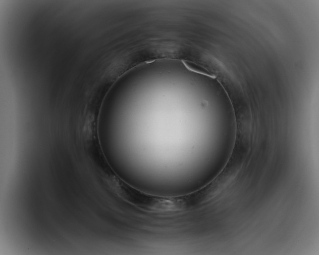 X0000093430083200710121210