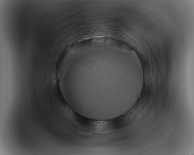 X0000093430085200710121210