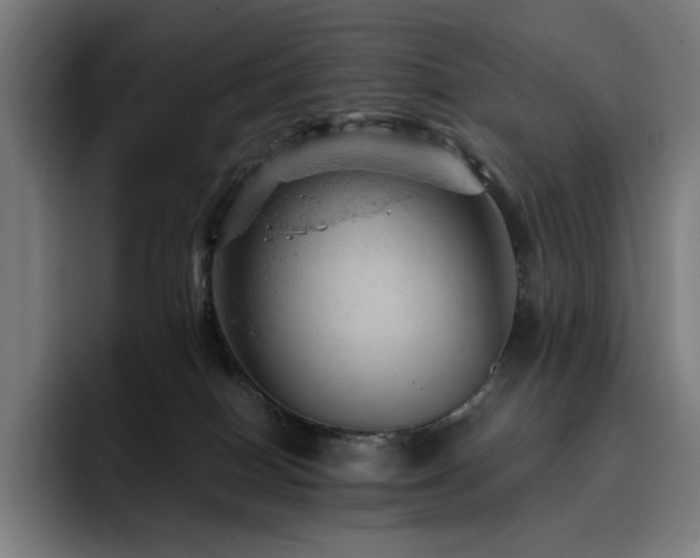 X0000093430086200710121210