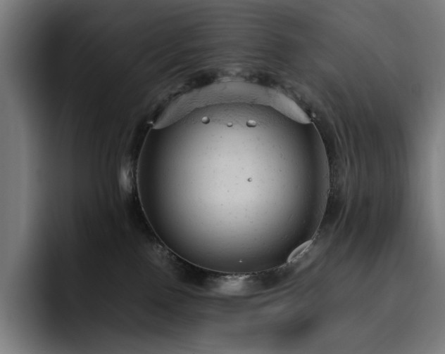 X0000093430090200710121210