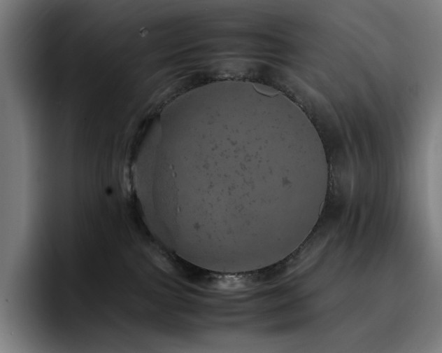 X0000093430091200710121210