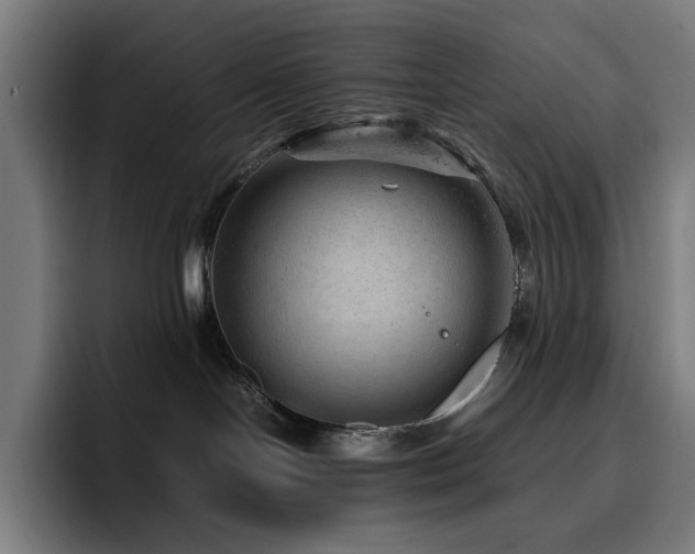 X0000093430094200710121210