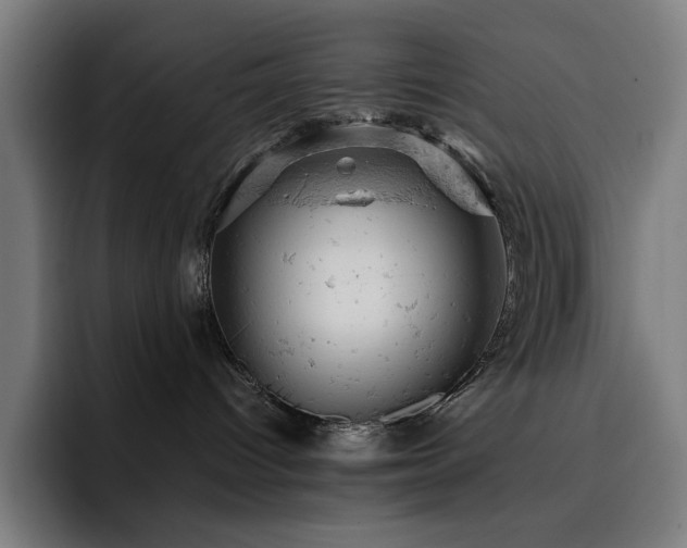 X0000093430096200710121210