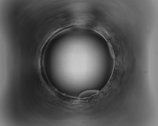 X0000093430098200710121209