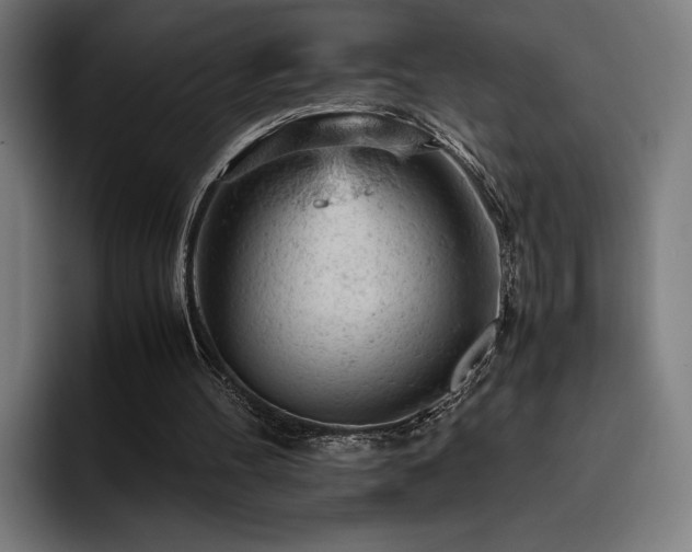 X0000093430100200710121209