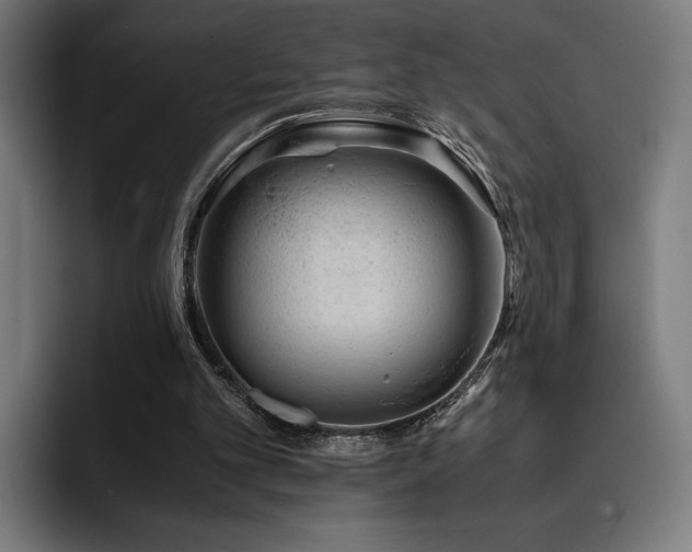 X0000093430101200710121209