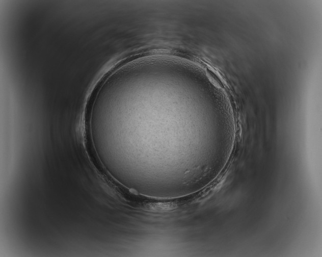X0000093430102200710121209