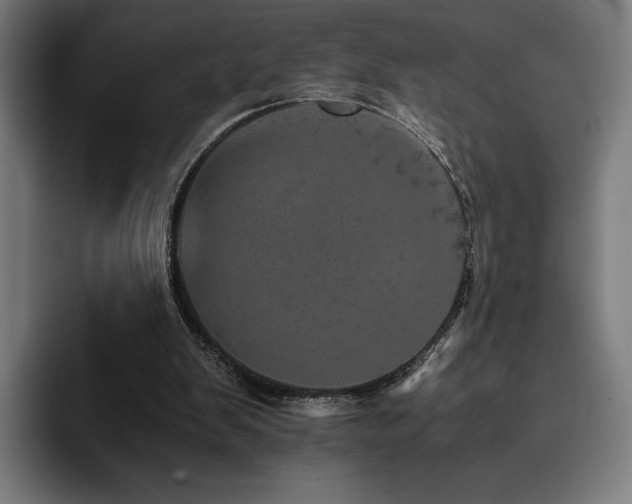X0000093430103200710121209