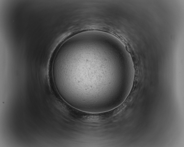 X0000093430104200710121209