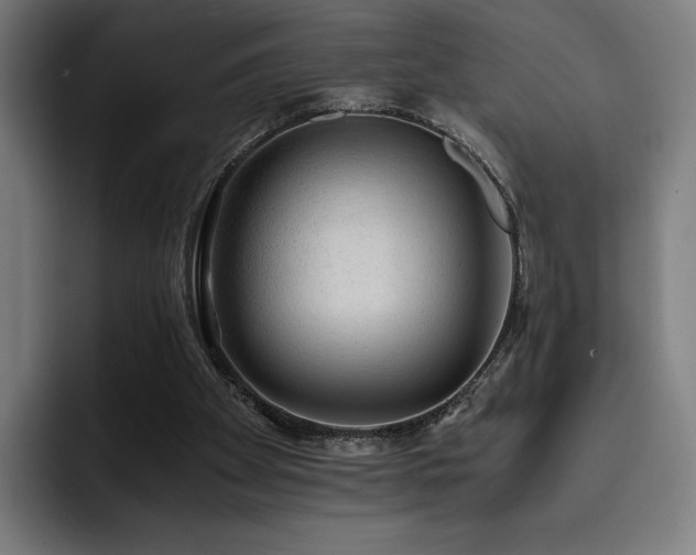 X0000093430105200710121209