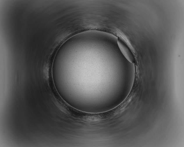 X0000093430106200710121209