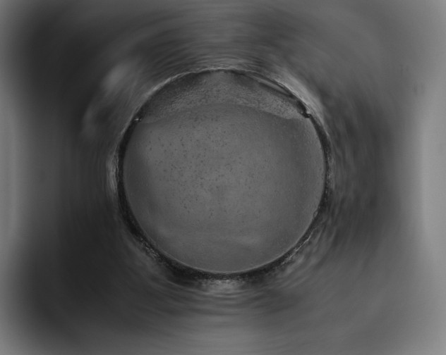 X0000093430107200710121209
