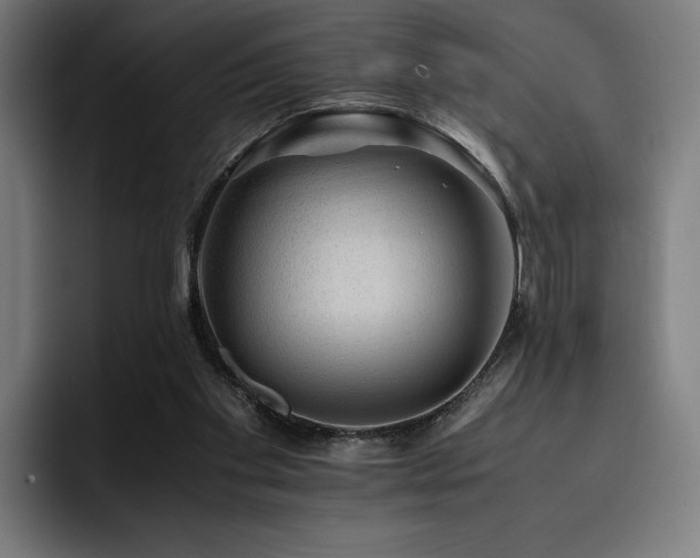 X0000093430109200710121209