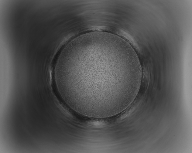 X0000093430110200710121209
