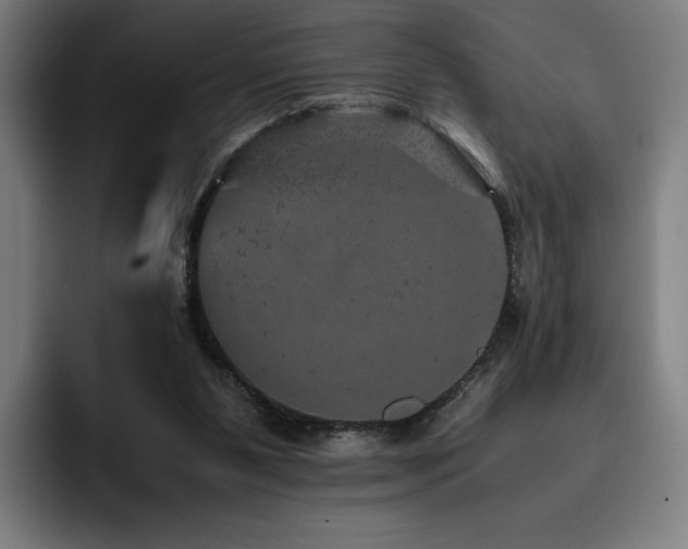 X0000093430111200710121209