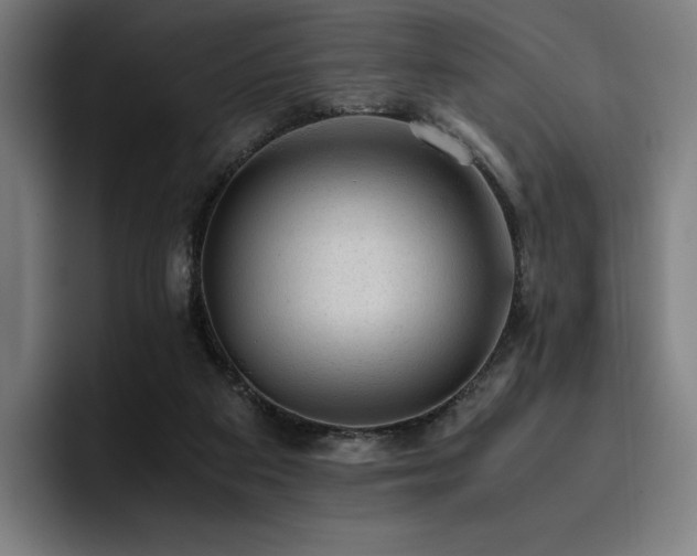 X0000093430113200710121209