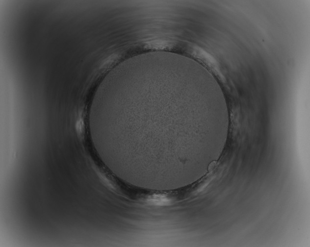 X0000093430114200710121209