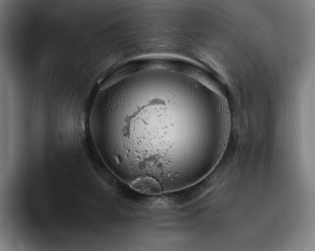X0000093430115200710121209