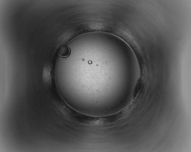 X0000093430116200710121209