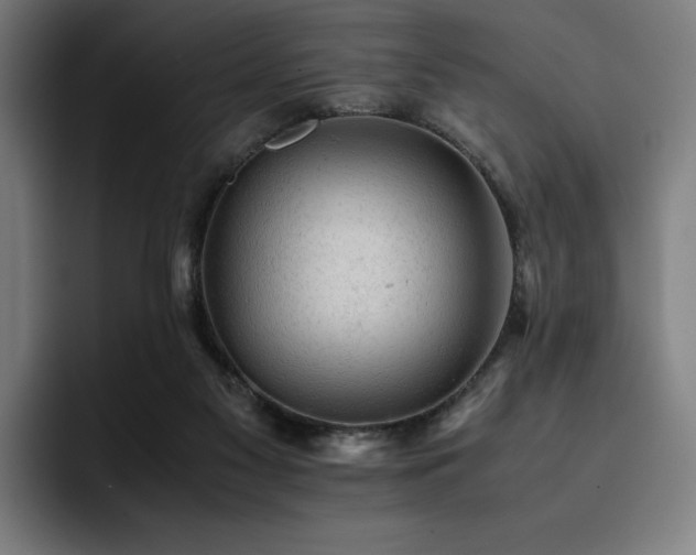 X0000093430117200710121209