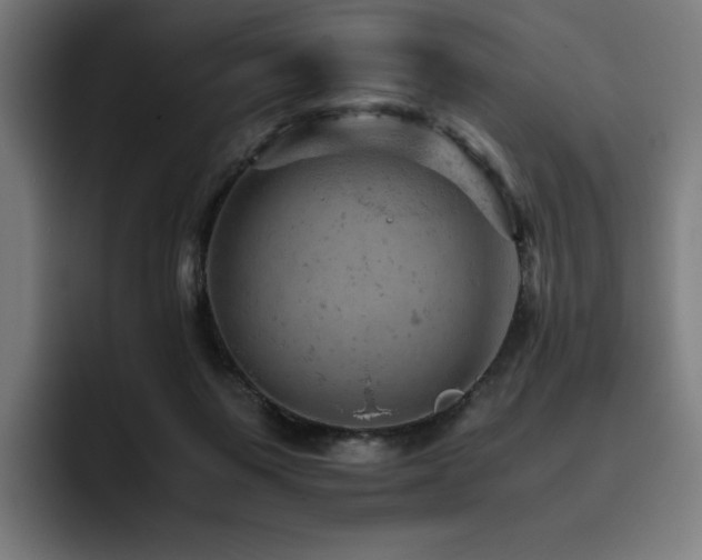 X0000093430119200710121209