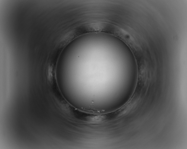 X0000093430122200710121209