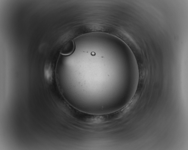 X0000093430124200710121209
