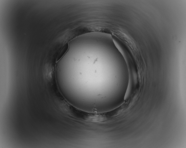 X0000093430125200710121209