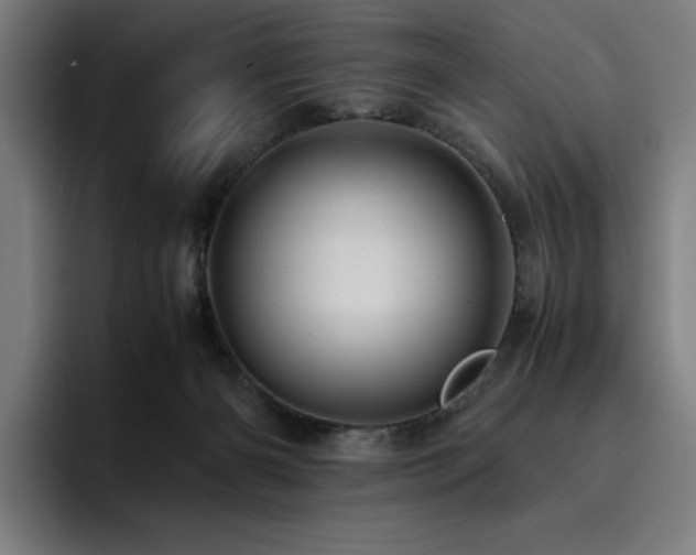 X0000093430126200710121209