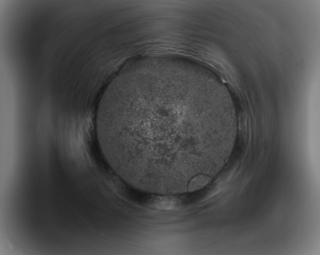 X0000093430127200710121209