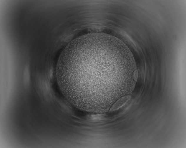 X0000093430134200710121209