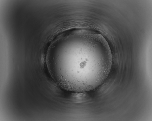 X0000093430135200710121208