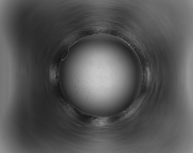 X0000093430138200710121208