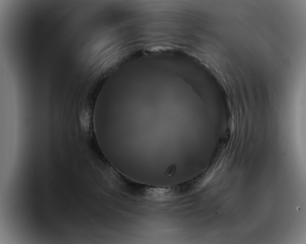 X0000093430139200710121208