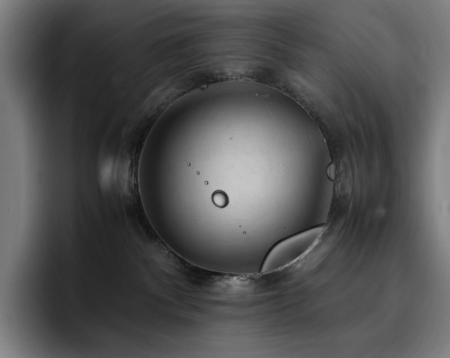 X0000093430140200710121208