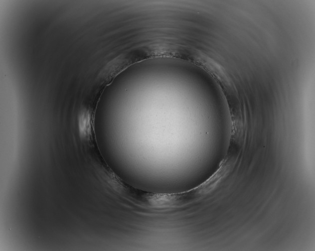 X0000093430142200710121208