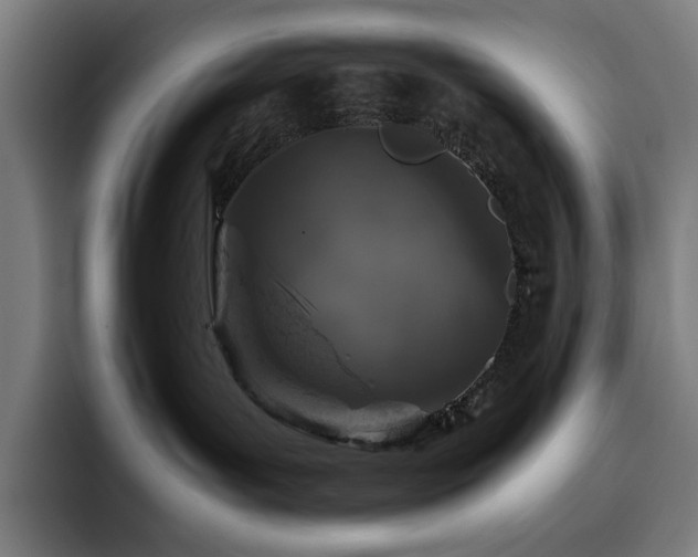 X0000093430143200710121208