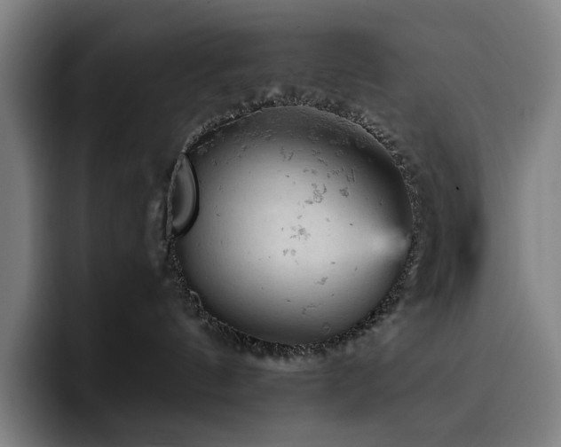 X0000093430144200710121208