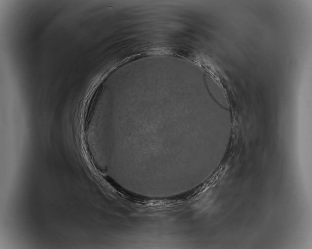 X0000093430145200710121208
