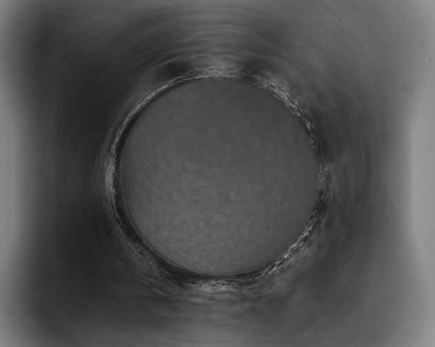 X0000093430146200710121208