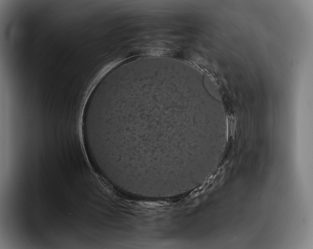 X0000093430147200710121208