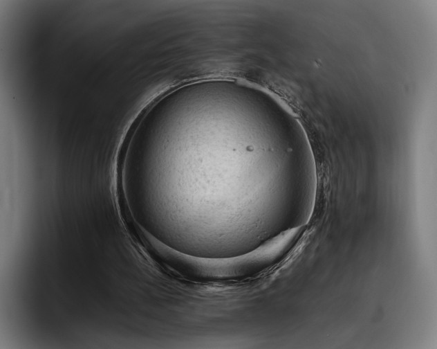 X0000093430148200710121208