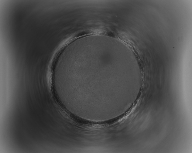 X0000093430149200710121208