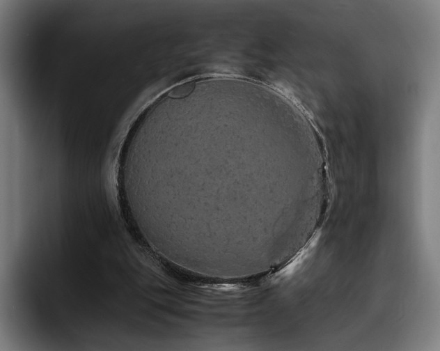 X0000093430151200710121208