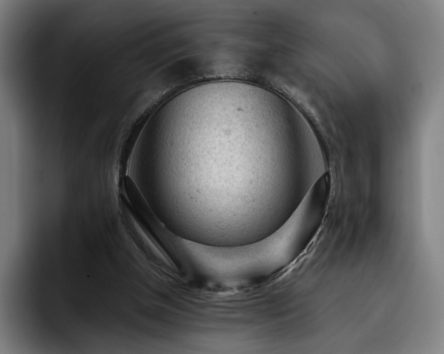 X0000093430154200710121208