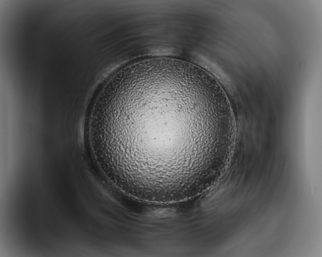 X0000093430155200710121208