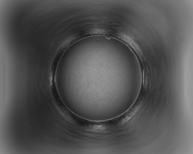 X0000093430157200710121208