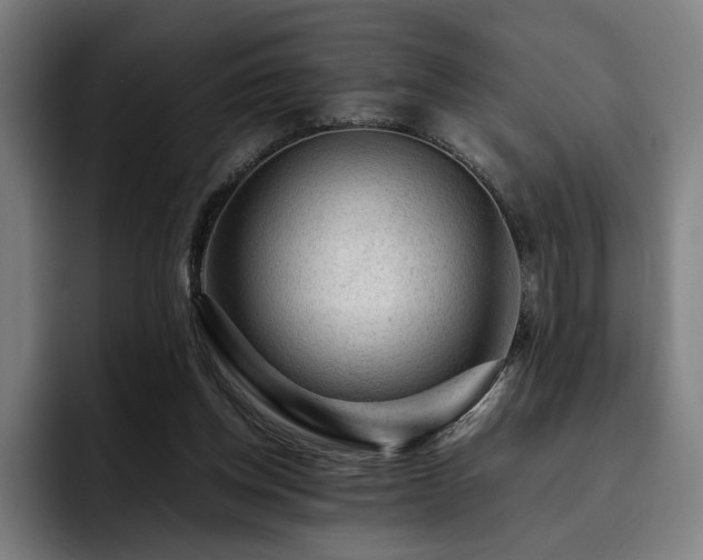 X0000093430158200710121208